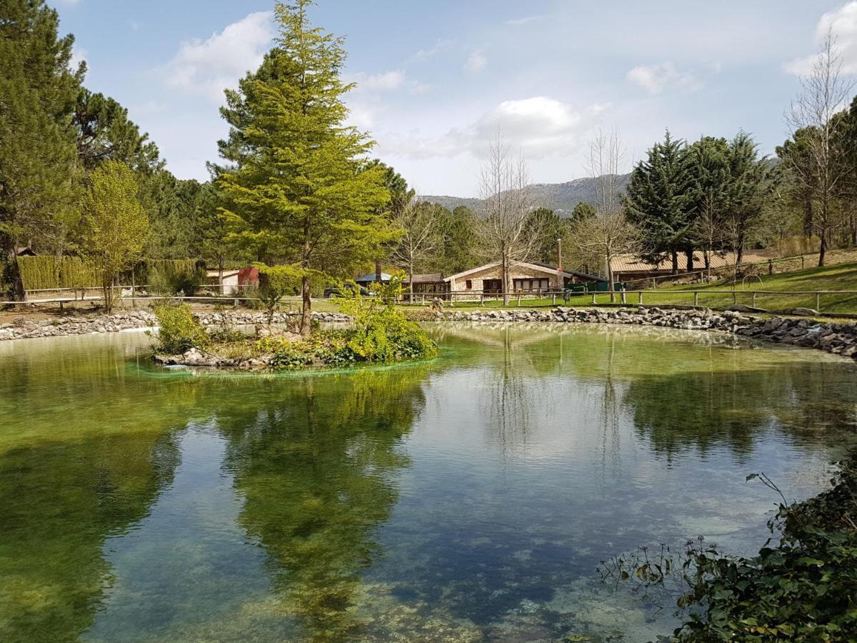 Chalet Esmeralda 3 D Y 2 Banos Zafiro Lagunazo Parque Natural Rio Mundo Riópar Eksteriør bilde