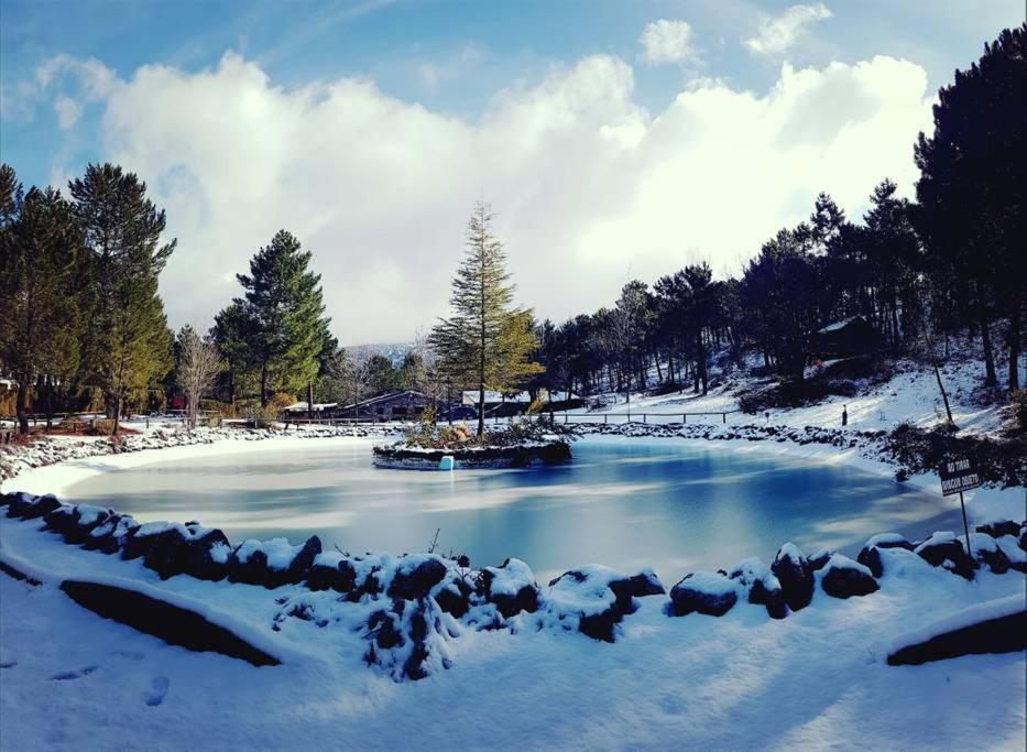 Chalet Esmeralda 3 D Y 2 Banos Zafiro Lagunazo Parque Natural Rio Mundo Riópar Eksteriør bilde