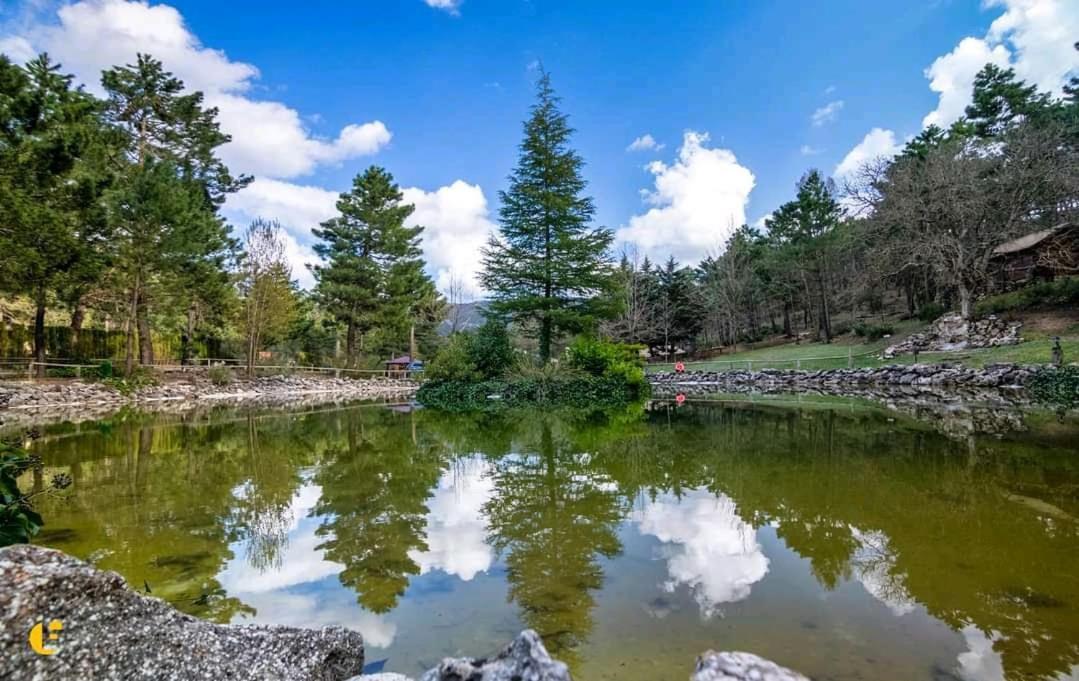 Chalet Esmeralda 3 D Y 2 Banos Zafiro Lagunazo Parque Natural Rio Mundo Riópar Eksteriør bilde