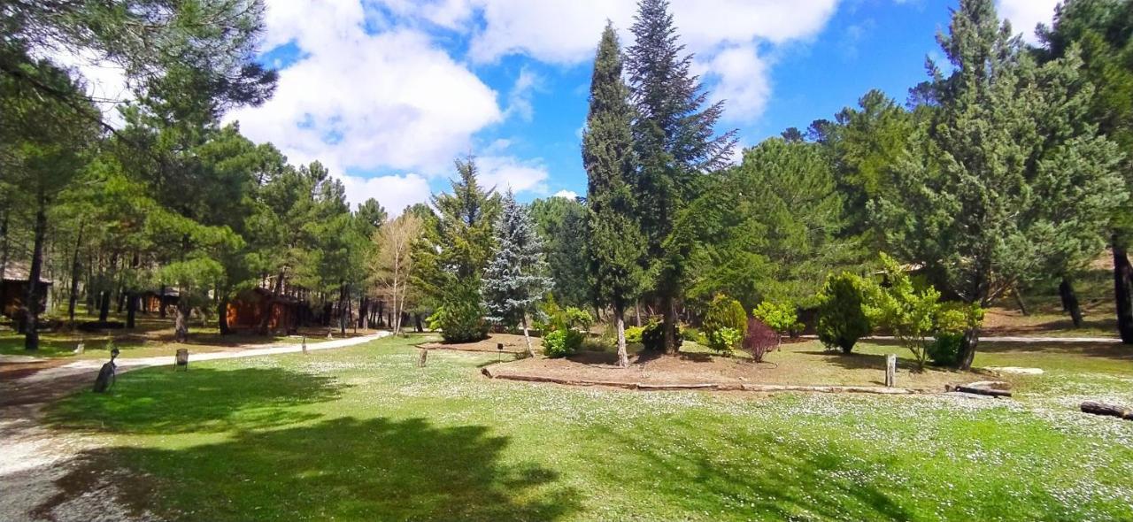 Chalet Esmeralda 3 D Y 2 Banos Zafiro Lagunazo Parque Natural Rio Mundo Riópar Eksteriør bilde