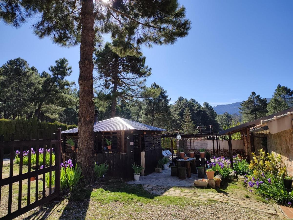 Chalet Esmeralda 3 D Y 2 Banos Zafiro Lagunazo Parque Natural Rio Mundo Riópar Eksteriør bilde