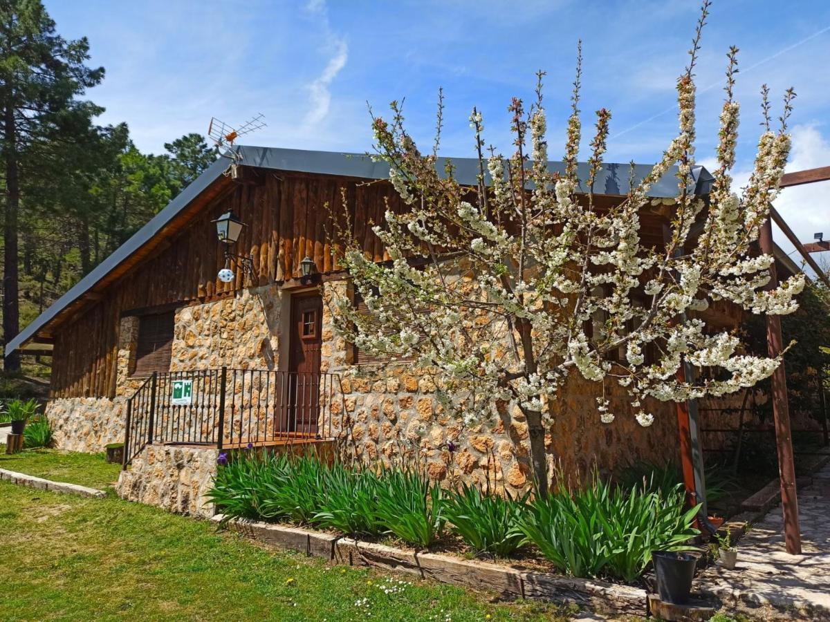 Chalet Esmeralda 3 D Y 2 Banos Zafiro Lagunazo Parque Natural Rio Mundo Riópar Eksteriør bilde