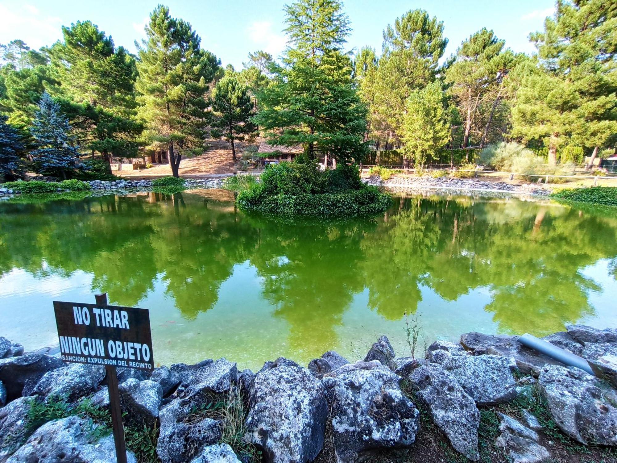 Chalet Esmeralda 3 D Y 2 Banos Zafiro Lagunazo Parque Natural Rio Mundo Riópar Eksteriør bilde